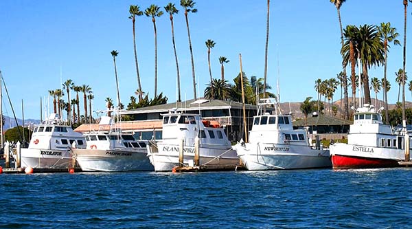 Ventura Harbor Sportfishing - GoFish