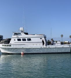 Endeavor Charter Fishing Boat