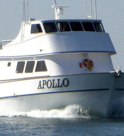 Apollo Sportfishing Charters