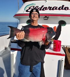 Eldorado, Long Beach Sportfishing