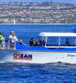 Ocean Adventures Catamaran