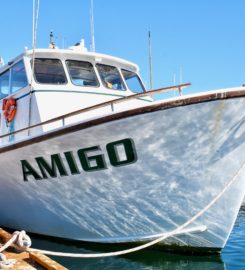 Amigo Sportfishing