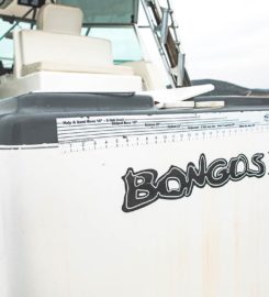Bongos Sportfishing