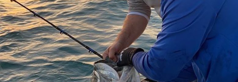 Saltwater Hook Up fishing charters