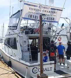 Cobalt Sport Fishing