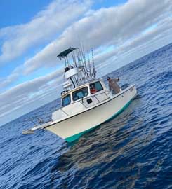 Pacific Bounty Sportfishing