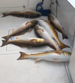 Three Sons lV Fishing Charters