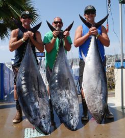 WON Fishing Charters