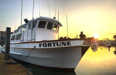 Online charter reservation platform - GoFish.Rocks