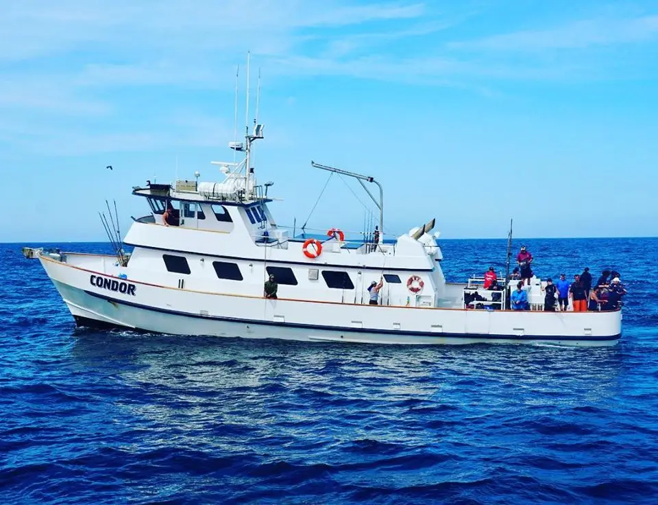 Charter boat photo featured on GoFish.Rocks