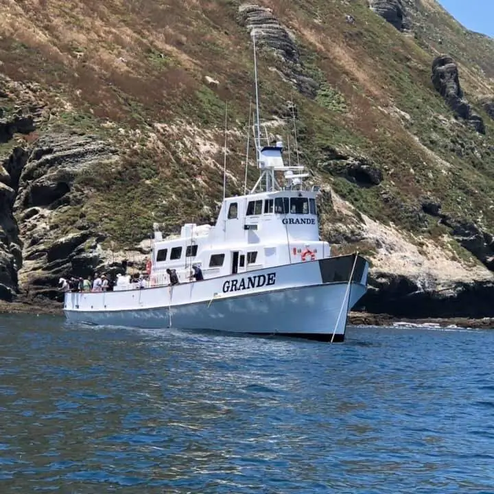 Fishing tour booking on GoFish.Rocks software
