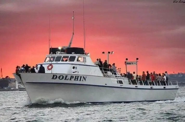 GoFish.Rocks - book fishing charters, scuba, sunset cruises
