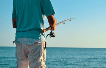 Cagatay Demir Acugpztzcts Unsplash 1 | GoFish.Rocks