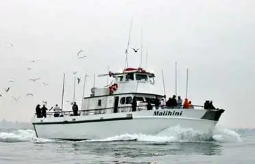 Fishing charter listing on GoFish.Rocks booking software
