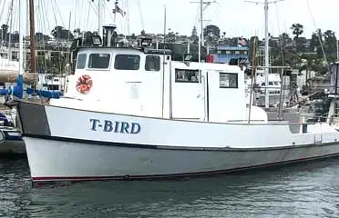 GoFish.Rocks - book fishing charters, scuba, sunset cruises