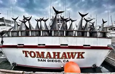 GoFish.Rocks - book fishing charters, scuba, sunset cruises